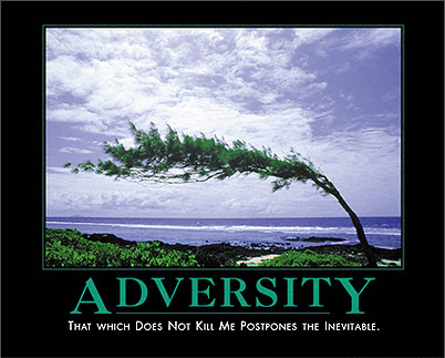 Inspiration poster - adversity