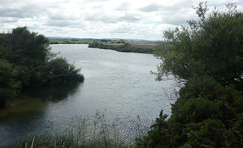 Mataura River