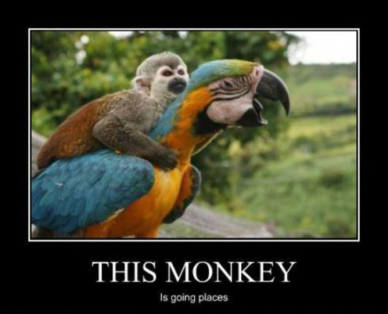 Inspiration poster monkey